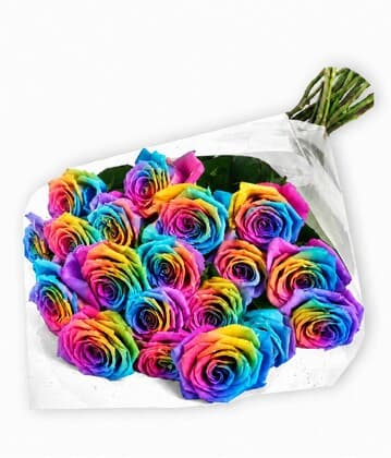 24 Rainbow Roses Bouquet