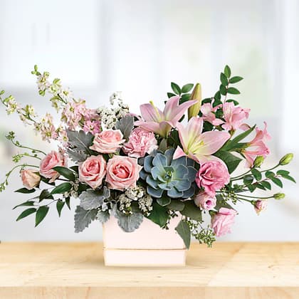 Blushing Succulent Flower Box