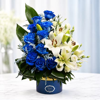 Blue Rose Midnight Elegance Box