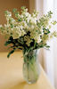 White Delight Bouquet a1627
