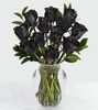12 Black Roses in Vase
