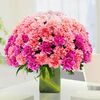100 Mix Color Carnations-Vase