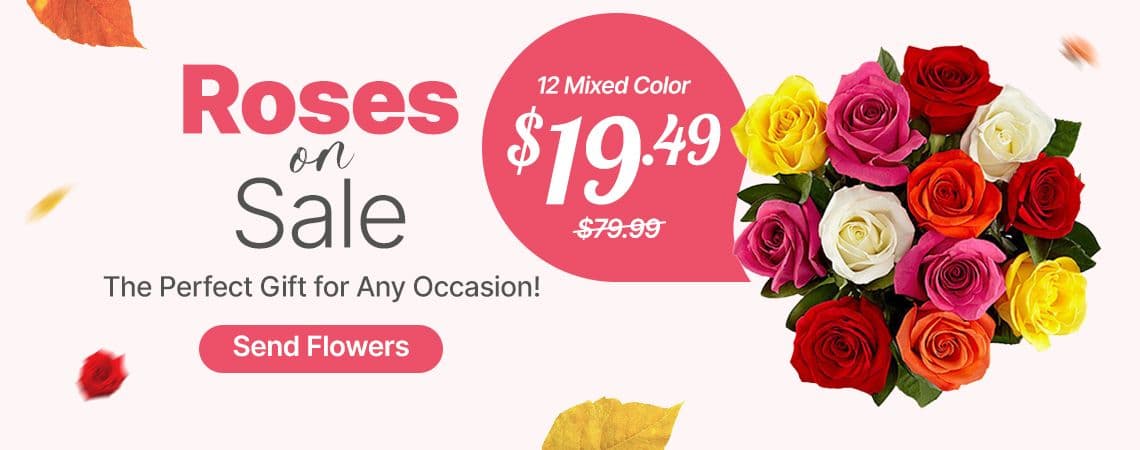 dozen roses fower delivery
