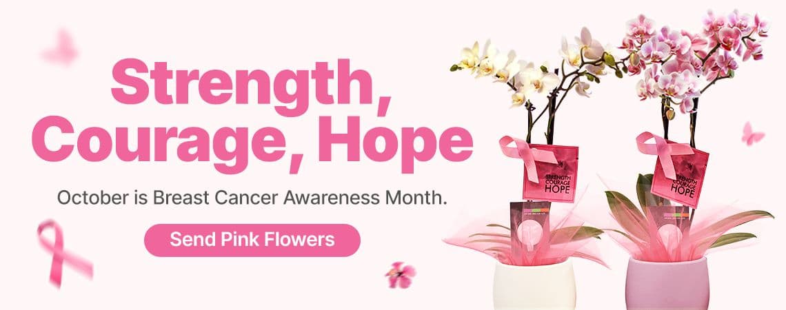 breast cancer awareness month