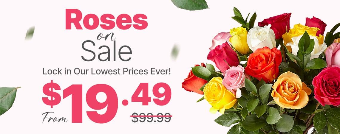 dozen roses fower delivery