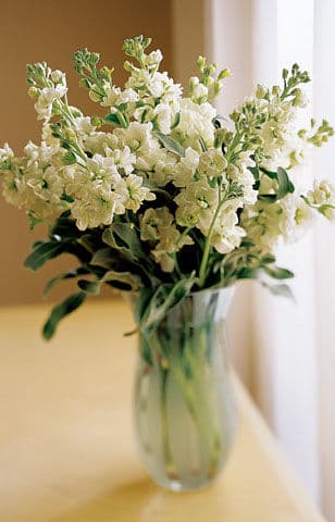 White Delight Bouquet