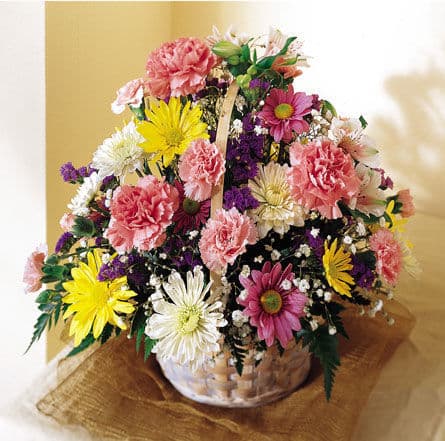 Basket of Cheer