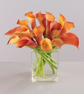 Orange Calla lilies