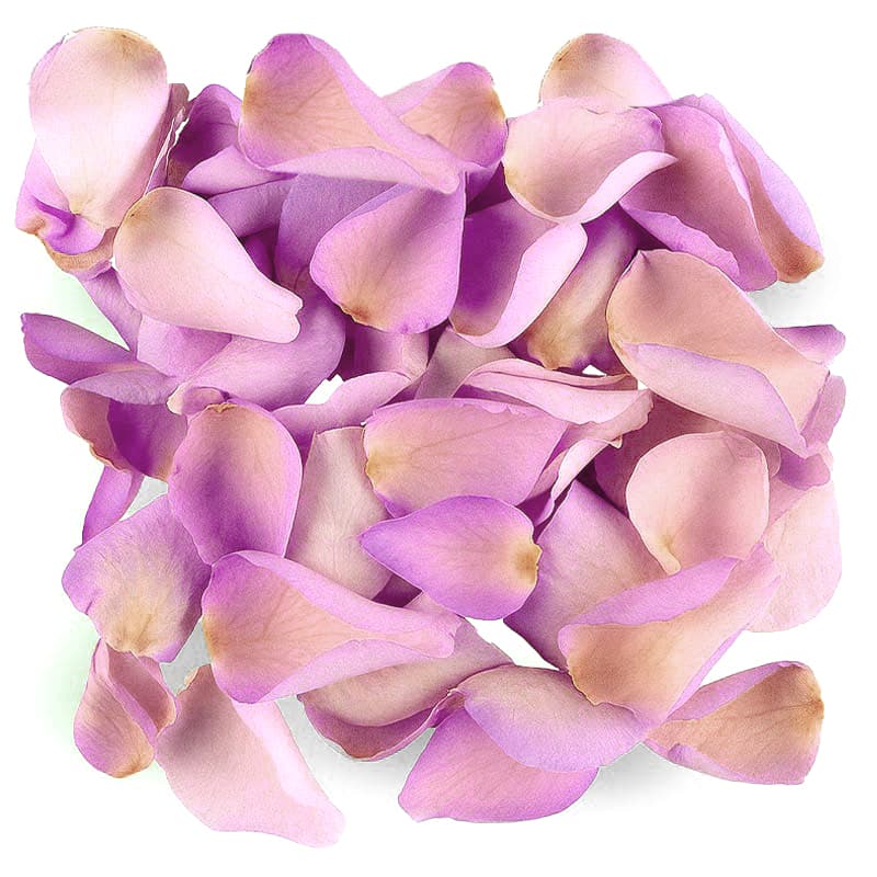 Lavender Rose Petals