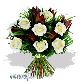 Premium Dozen White Roses