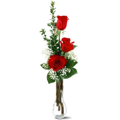 Rose in Bud Vase