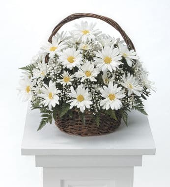 White Daisy Sympathy Basket