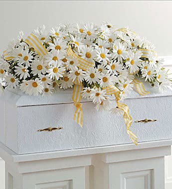 Elegant Daisy Casket Spray