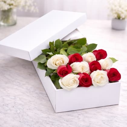 Dozen Red & White Roses in a Box