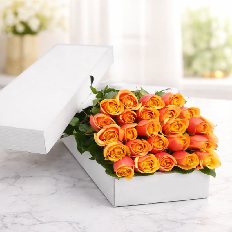 Two Dozen Peach Blend Roses in a Box
