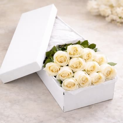 Dozen White Roses in a Box