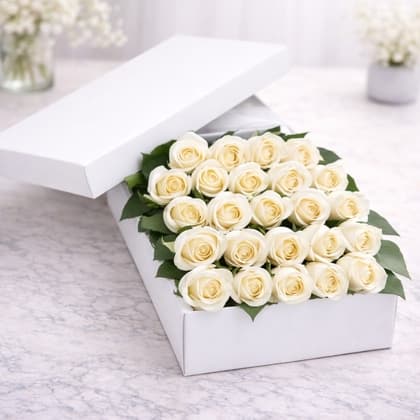 2 Dozen White Roses in a Box