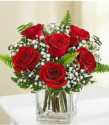 The Simply Enchanting Red Roses