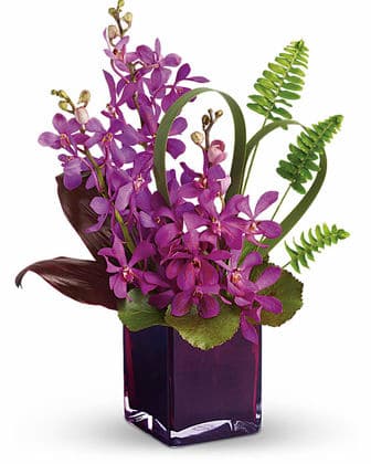 Teleflora's Island Princess