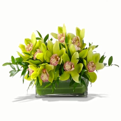 Exotic Breeze Orchid Centerpiece