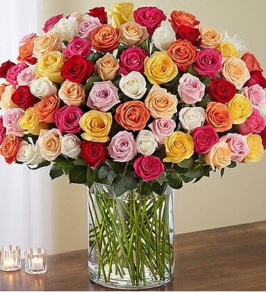 100 Mix Color Long Stemmed Roses in a Vase