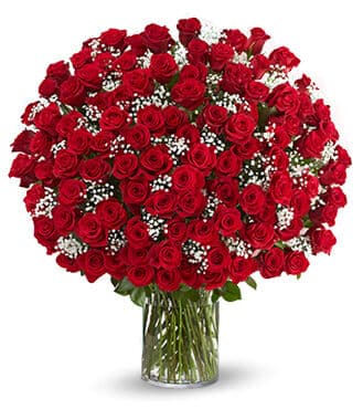 100 Premium Red Roses in a Vase