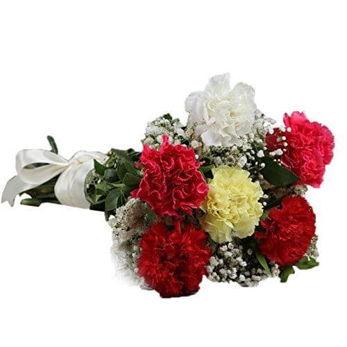 ***Carnation Bouquet With Baby's Breath