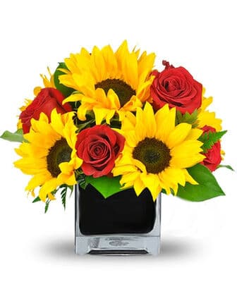 Sunflowers Smile