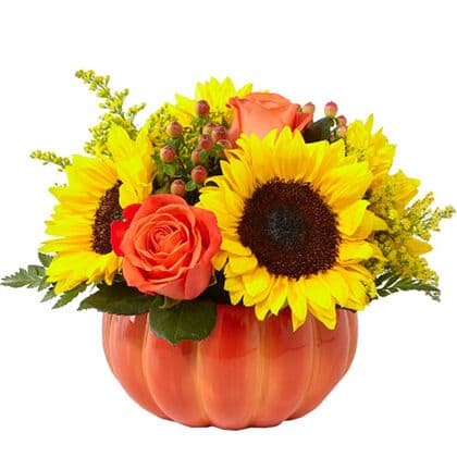 Harvest Traditions Pumpkin