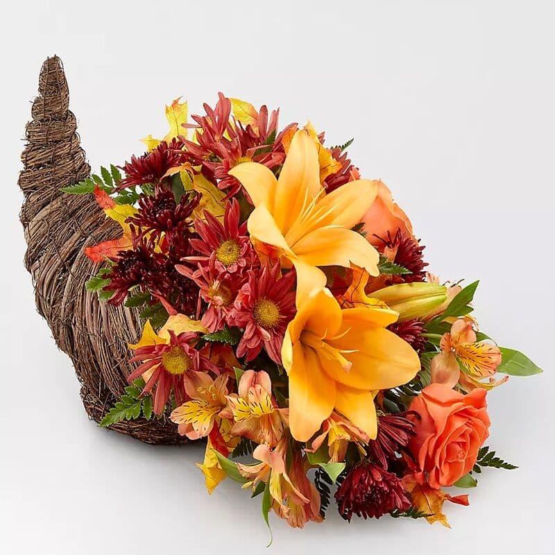 Harvest Comfort Cornucopia
