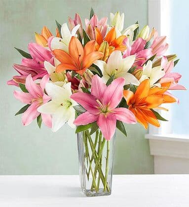 Vibrant Mix Color Lily