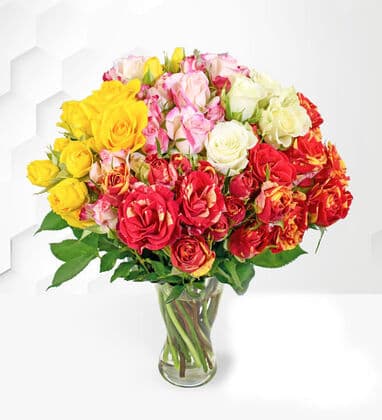 Blooming Spray Roses