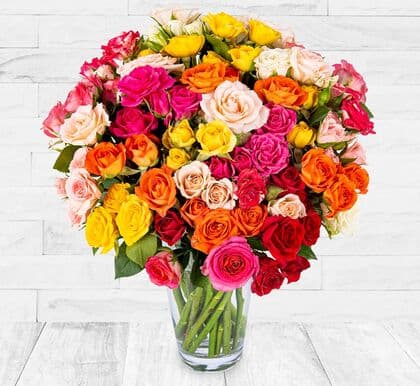 Blooming Spray Roses