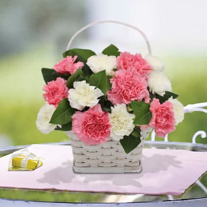 Carnation Beauty Basket Arrangement