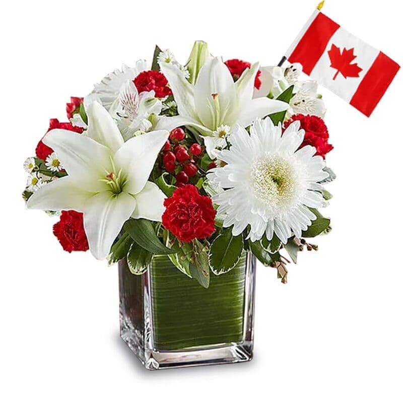 Red and White Canada Day Flowers