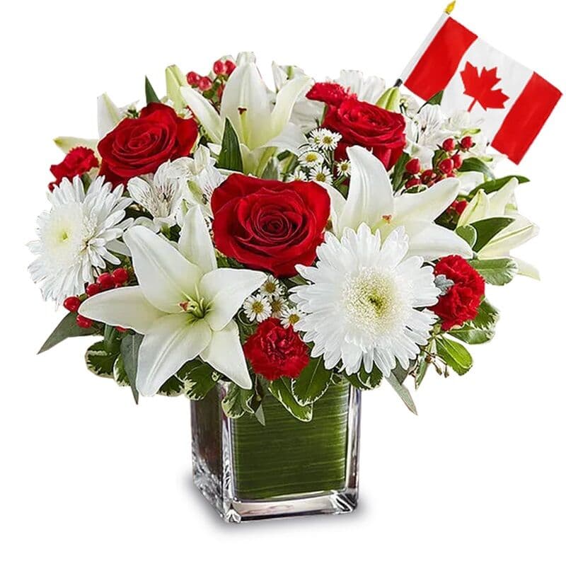 Red and White Canada Day Flowers