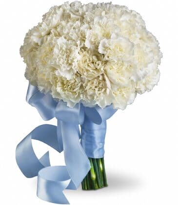 Sweet White Carnation Bouquet