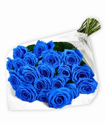 24 Blue Roses Bouquet