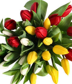 Assorted Color Tulips Bouquet
