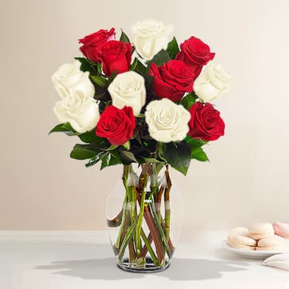 Dozen Red and White Roses in a Vase