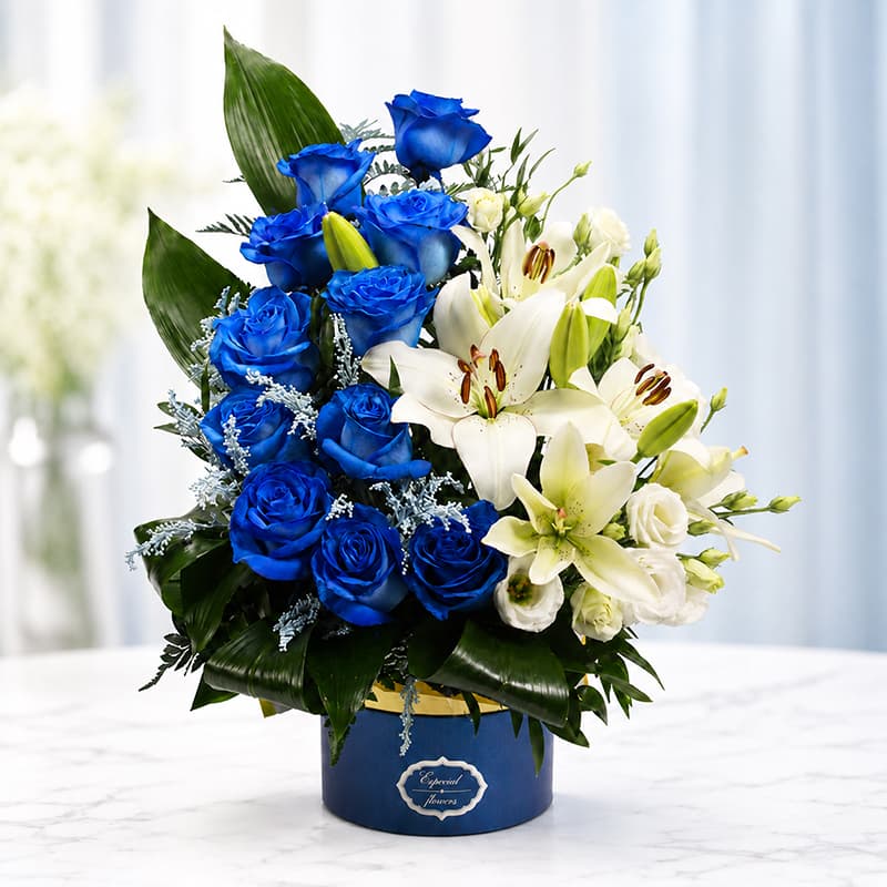Blue Rose Midnight Elegance Box