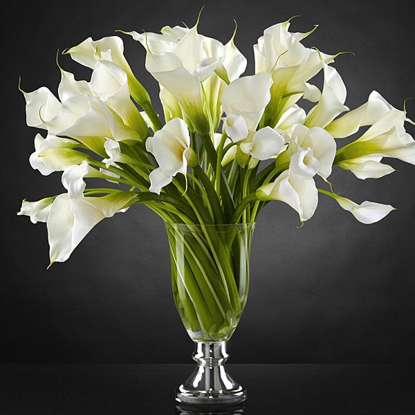 FTD Musings Luxury Calla Lily Bouquet
