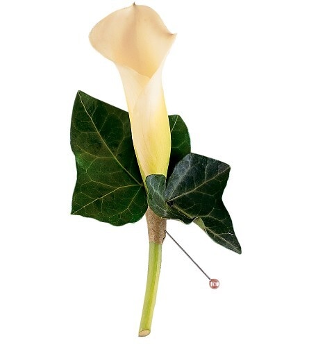 Miniature Calla Lily Boutonniere