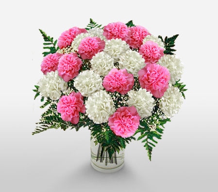 Carnations Vase Arrangement