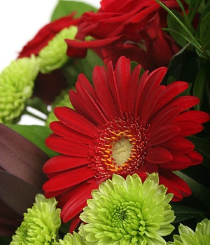 Gerbera and Chrysanthemum Bouquet