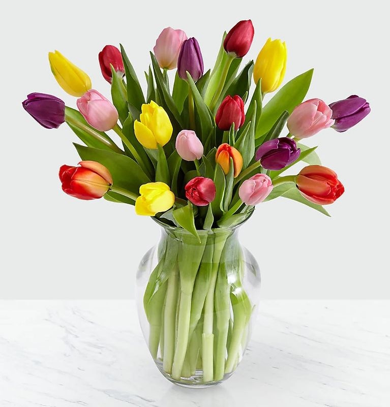 Assorted Tulips in Vase