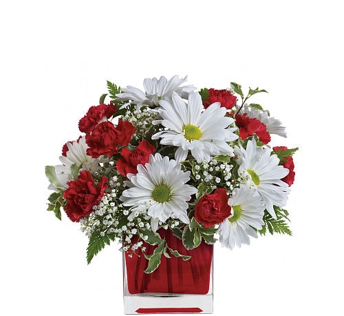 Red And White Delight by Teleflora