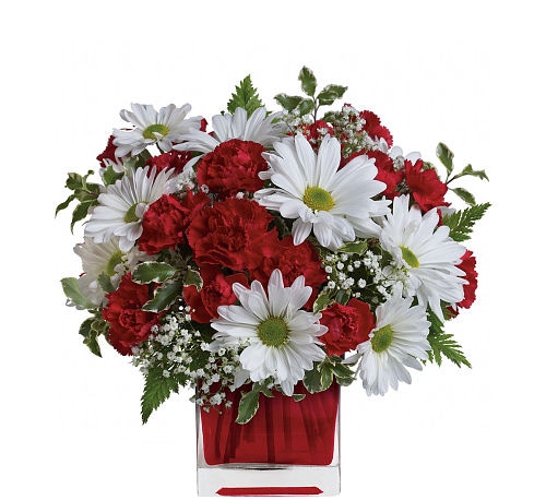 Red And White Delight by Teleflora