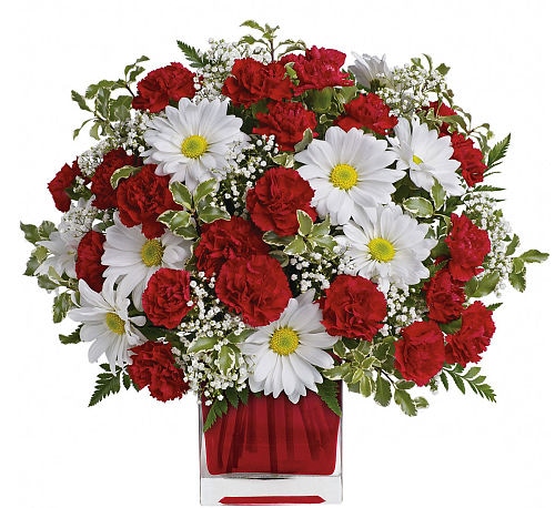Red And White Delight by Teleflora