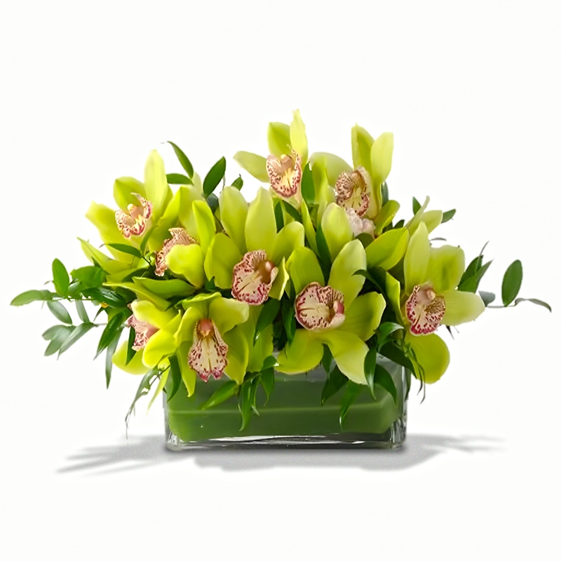 Exotic Breeze Orchid Centerpiece